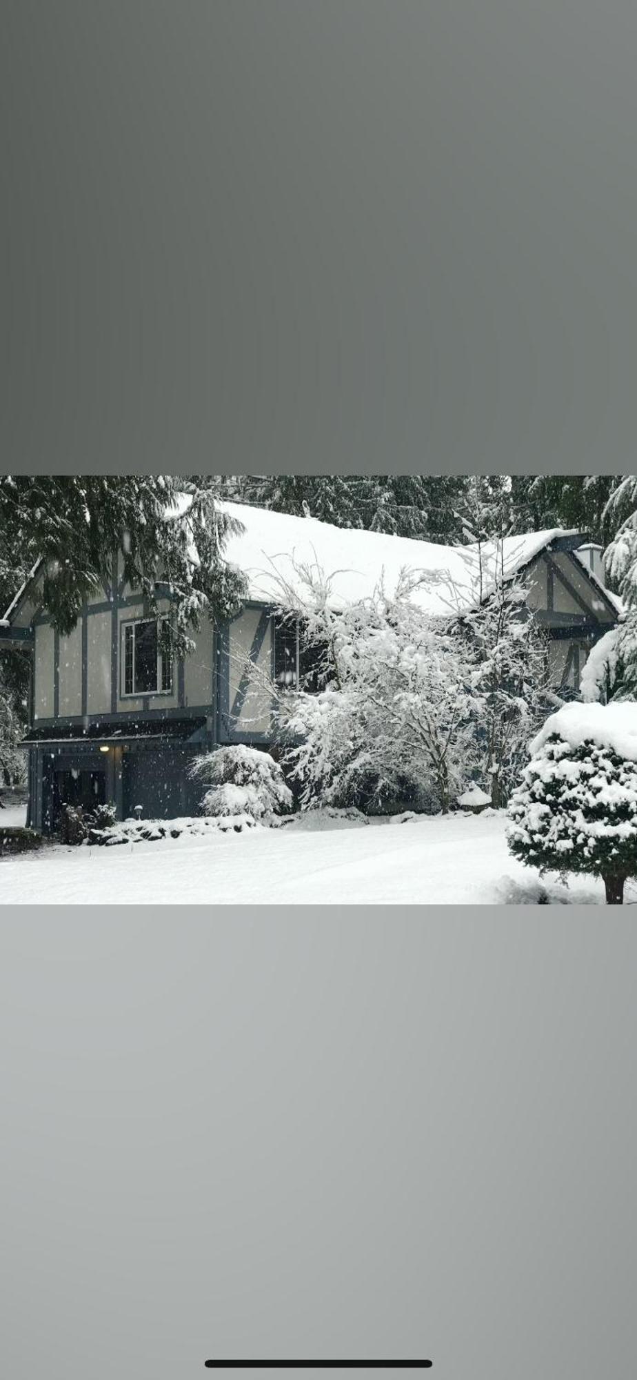 Cozy Bird House W Big Screen! Mount Hood Village Exterior foto